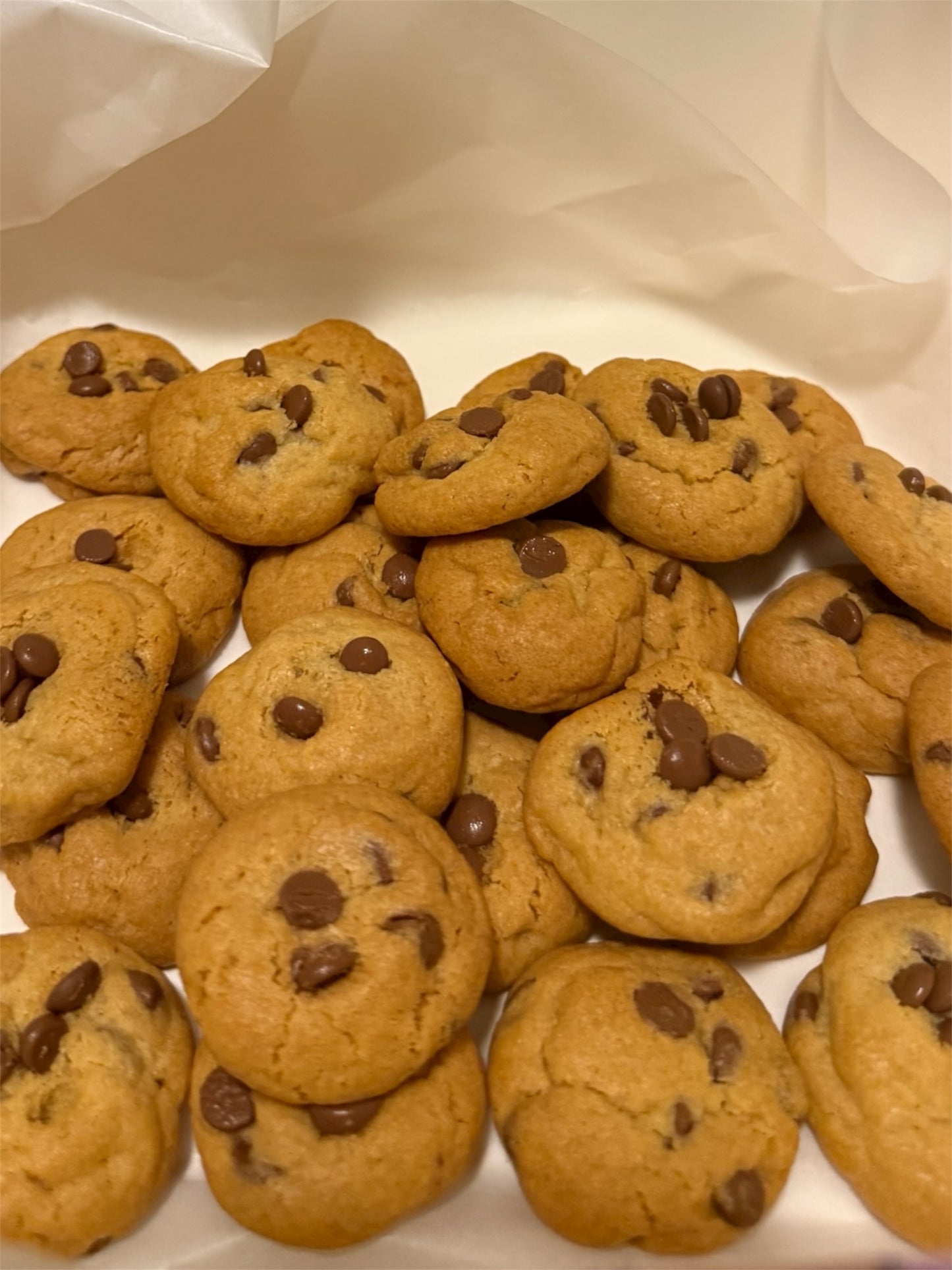 Mini Chocolate Chip Cookies